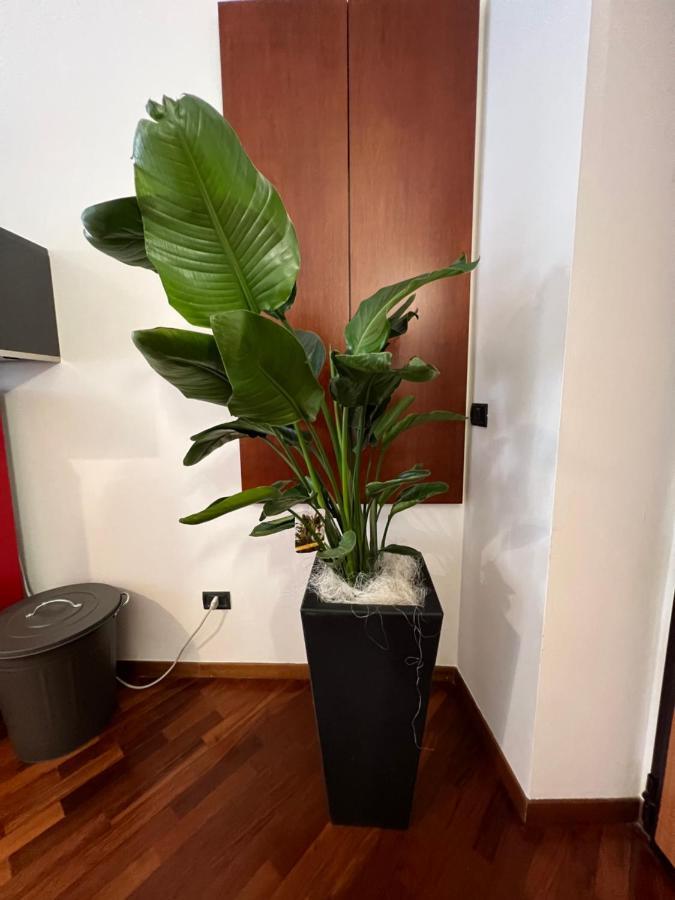Effealatapartments - Appartamento Del Duca Senigallia Buitenkant foto